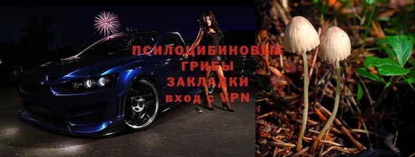 ПСИЛОЦИБИНОВЫЕ ГРИБЫ Осинники
