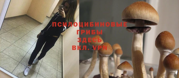 кокс Аркадак
