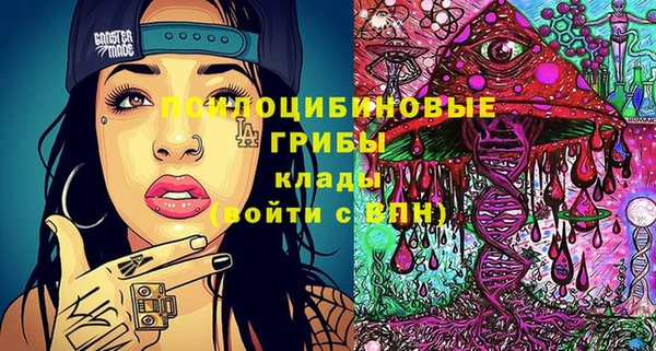 не бодяженный Арсеньев