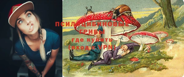 кокс Аркадак