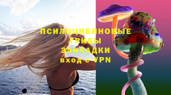 кокс Аркадак