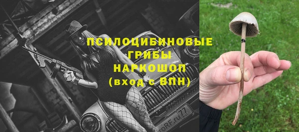 таблы Армянск