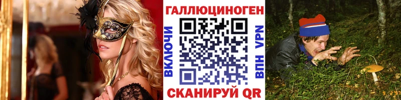 купить Руза Галлюциногенные грибы прущие грибы